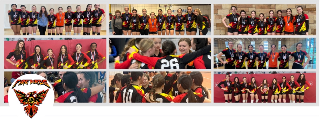 Firebirds Team